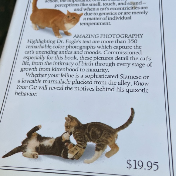 Know Your Cat by Bruce Fogle DVM great pictures & greater information - Picture 6 of 12